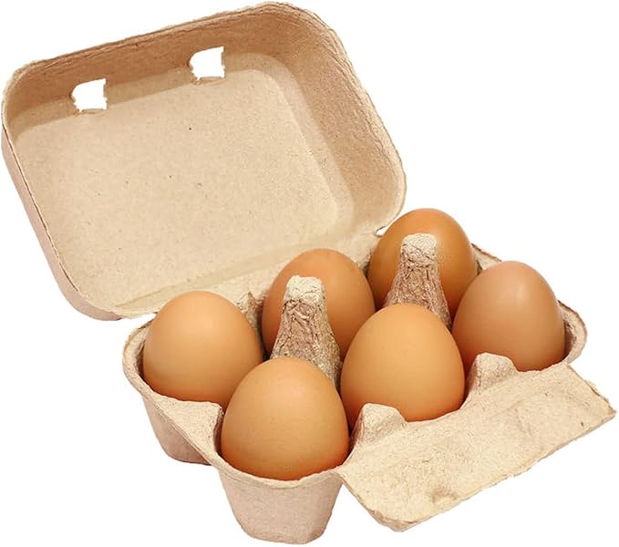 JAPCHET 50 Pack Egg Cartons - 6 Count, Paper Pulp Egg Tray Holder, Biodegradable for Family, Farm, Market