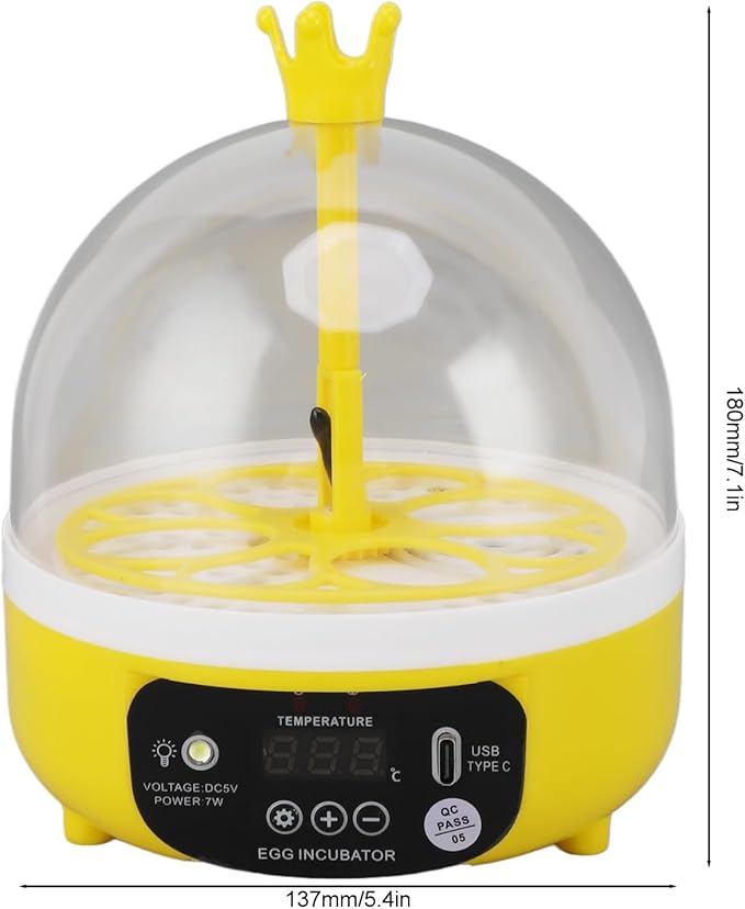 Fdit Mini Egg Incubator with Automatic Temperature Humidity Control, Transparent Lid, Multifunctional Hatching for Chickens Ducks Pigeons, Compact and Portable (Manual Turning)