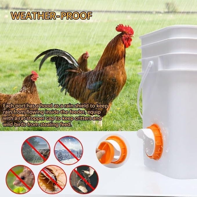 Chicken Feeder Port, 6 Pack Chicken Feeders No Waste with 6 Lids 1 Drill Bit, DIY Automatic Poultry Feeder Cups Kit, Chicken Bucket Feeder for Barrels ((Orange)
