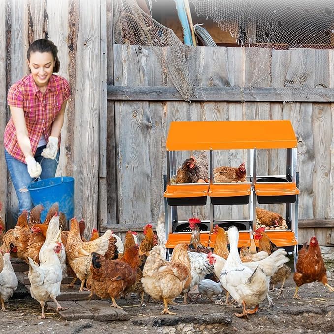 Chicken Nesting Box, 6-Compartment Egg Laying Box, Convenient for Collecting Eggs, Ventilated Poultry House Equipment in Metal Chicken Coop, Suitable for Hens and Ducks, (Orange, with Stand)