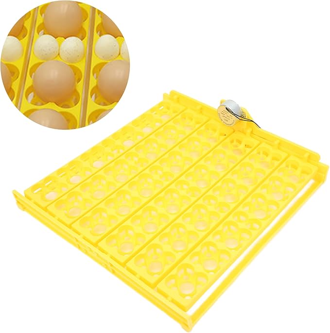 Pssopp Automatic Egg Turning Tray, Mini Incubator Hatcher Automatic Egg Turning Tray Tool Egg Turner with Motor for Chicken Duck Quail Egg Incubator Accessories[110V]