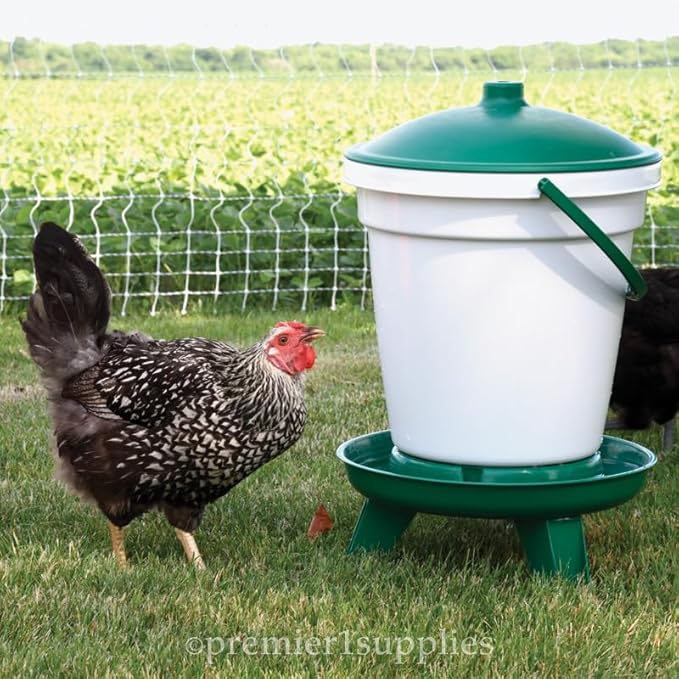 Premier 1 Quick Clean Bucket Waterer for Chickens & Poultry - 5 Gallon (with Legs)