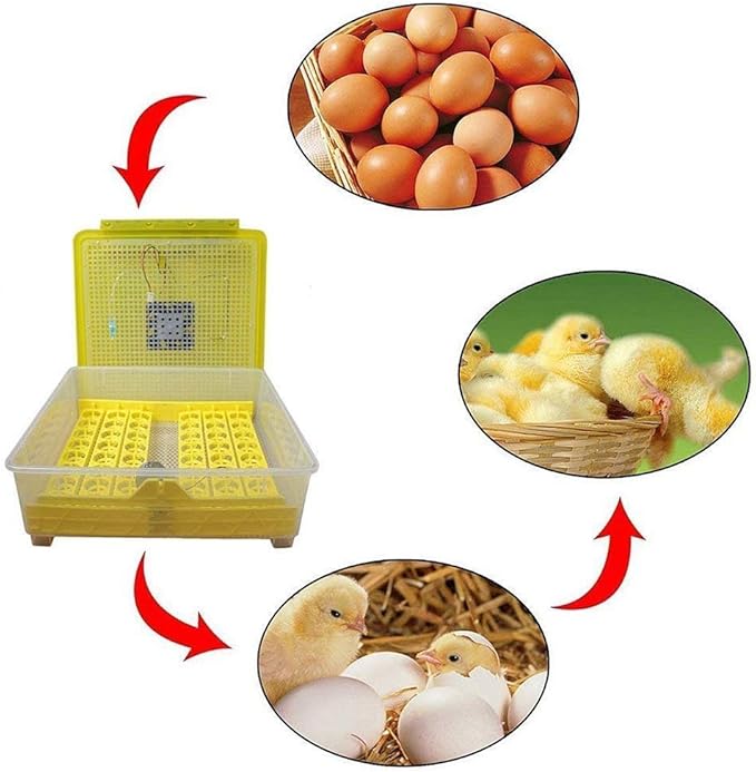 Incubators for Hatching Eggs Automatic Turning Digital Temperature Control Poultry Hatcher 48 Eggs for Chickens Ducks Birds (110v