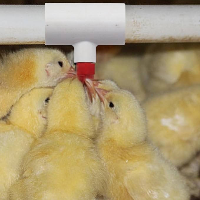 Uonlytech 10pcs PVC Tee Fittings Automatic Chicken Waterer System with Vertical Nipple Cups for Poultry Drinking Bowl Suitable for Chickens Ducks Quails