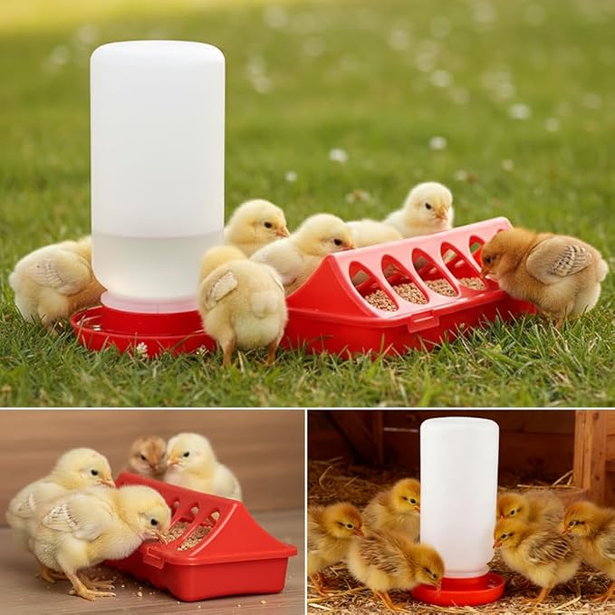 Chick Feeder and Waterer Set, 3 pcs 12 Hole Trough Feeders with Low-Spill Waterer for Baby Chicks or Ducklings Small Poultry, Brooder Coop Supplies Baby Chick Starter Kit (Color:Red)