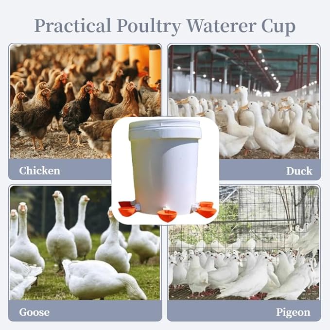 Chicken Waterer Cups 5 Packs,Duck Chick Waterer Chicken Feeder Cups,Automatic Waterer Feeder with Anti-Leak System for Chicken,Duck,Goose,Bunny(Orange)