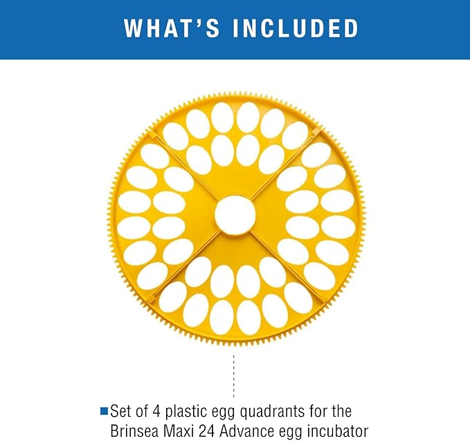 Brinsea Small Egg Quadrant Insert for Maxi Advance Incubator System, Fits 40 Pheasant or Quail-Size Eggs