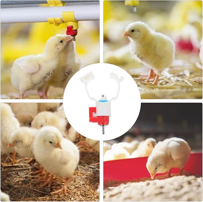 VICASKY Quail Waterer Rabbit Watering System Chicken Cups Feeder 20pcs Drinker Water Dispenser Ball Automatic Nippler Chick ABS Poultry with Steel Control