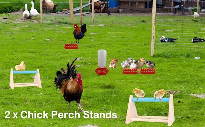 7 Pack Chick Feeder and Waterer Kit No Waste with Chick Perch Flip Top Small Poultry Feeder Trough Quail Feeding Supplies Baby Chick Starter Kit for Chicken Coop Brooder Duck Quail Gravity