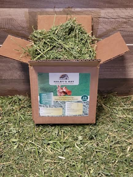 HALBY'S HAY, PREMIUM QUALITY FEED™ Premium Alfalfa Flake Hay – 1 lb Box – Farm Fresh, Sun-Cured, Feed for Rabbits, Guinea Pigs, Chinchillas & Small Pets – Soft, Green, Box-Packed USA Grown