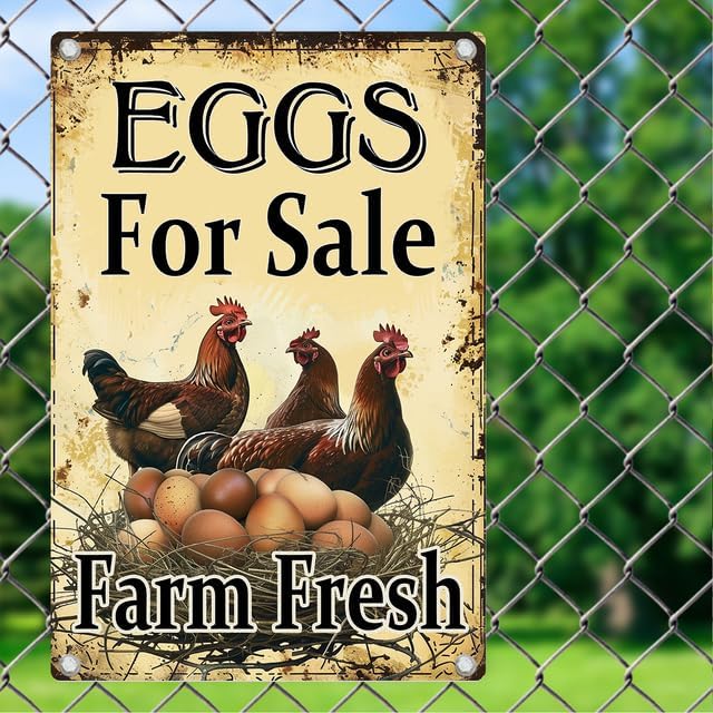 Fresh Eggs for Sale Aluminium Sign 5in×8in, Sturdy Aluminum Metal Signs Rust Free, Eggs for Sale Sign - Farm Fresh/We Sell Eggs Sign Outdoor Yard