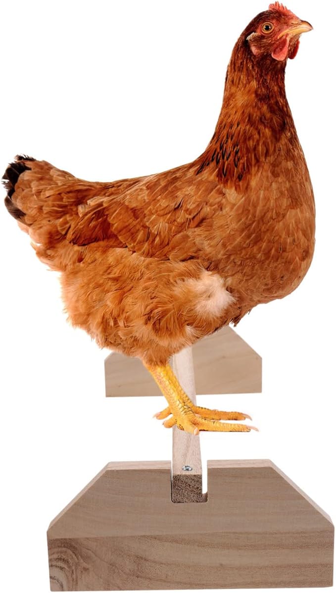 Healifty Wooden Parrot Stand Natural Chick Perch Roosting Bar for Chicken and Birds Household Bird Stand for Coop and Brooder Training Playground