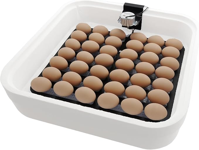 Incubator Warehouse IncuTurn™ Automatic Egg Turner for HovaBator Egg Incubators - Universal Hovabator Incubator Egg Turner Tray - Auto Egg Turner for 42 Chicken 70 Quail 28 Goose Eggs(Egg Turner ONLY)