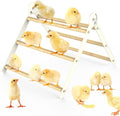 Bamboo Adjustable Chicken Perches, with Adjustable 7 Circles Holder, Strong Roost Bar for Coop&Brooder, Training Perch for Chicks, El Pollitos, La Pollita, Easy to Install & Clean, Fun Toys for Chicks