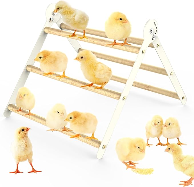 Bamboo Adjustable Chicken Perches, with Adjustable 7 Circles Holder, Strong Roost Bar for Coop&Brooder, Training Perch for Chicks, El Pollitos, La Pollita, Easy to Install & Clean, Fun Toys for Chicks