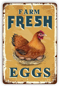 Farm Fresh Eggs Tin Signs - Vintage Country Chicken Hen Rooster Tin Signs Funny Chicken Coop Metal Signs Outdoor Chicken Decor For Chicken Lovers Chicken House Decor 8×12 Inch