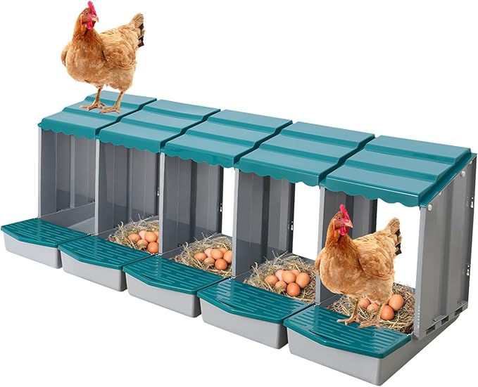 Chicken Nesting Boxes 5 Compartment PP Nesting Box with Inclined Nesting Boxes & Vented Holes Wall Mount Chicken Laying Boxes for Chicken Coop (Green)