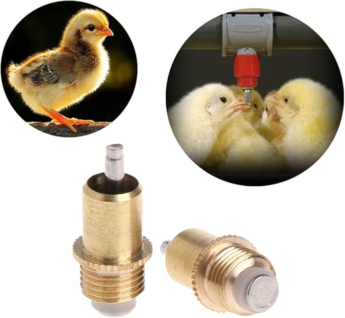 5 Pieces Chicken Waterer Nipples Automatic Poultry Watering Drinker Nipples Brass Nipples for Chicken Ducks Turkey