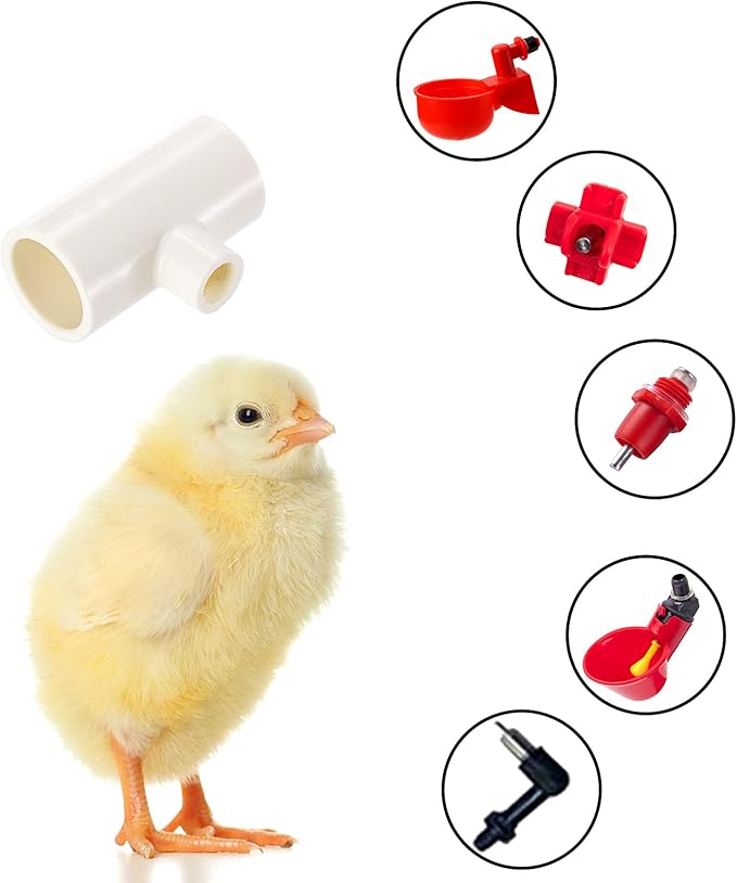 Hedume 40 Pack Chicken Waterer PVC Tee Fittings, PVC Tee Fittings for Threaded Poultry Nipples Chicken Water Drinker and Feeder Cups, Fully Automatic Poultry Waterers