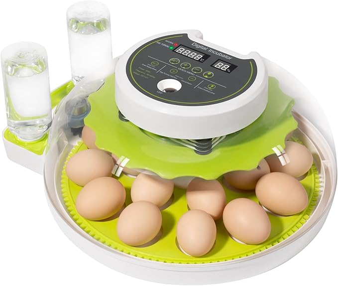 18 Egg Incubator with Automatic Turning & Humidity Control, 0.1 Precision for Chicken/Duck/Goose/Quail/Parrot Eggs (Green)
