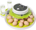 18 Egg Incubator with Automatic Turning & Humidity Control, 0.1 Precision for Chicken/Duck/Goose/Quail/Parrot Eggs (Green)