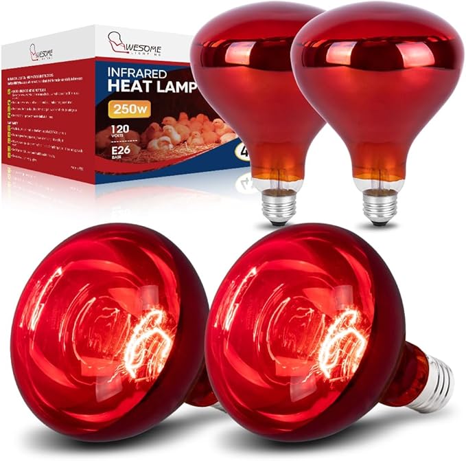 4 Pack 250W Heat Lamp Bulbs for Chicks, R40 Red Heat Lamp for Chickens, Infrared Heating Bulbs for Brooder Heater, I Incandescent Heat Bulb for Pet, Bathroom, Food