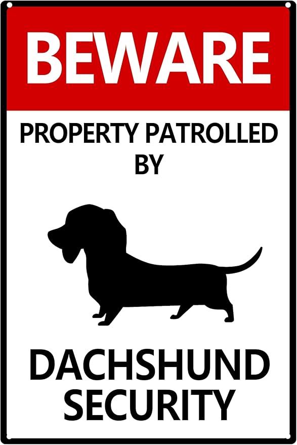 Metal Beware Property Patrolled By Dachshund Security Sign - Traffic Road Tin Sign for Outdoor Coffee Shop Bar Club 8x12 Inches