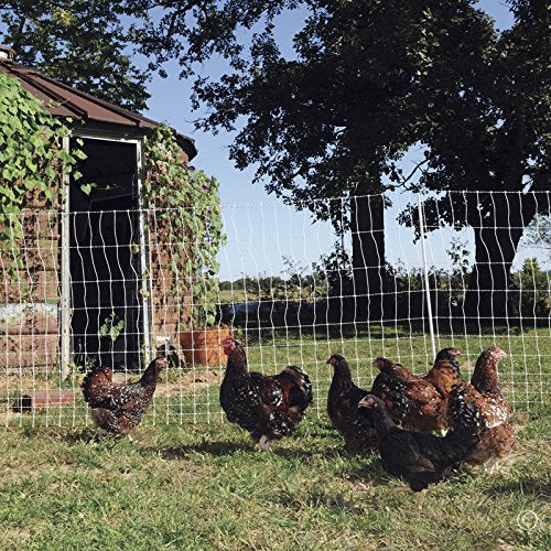 Premier 1 PoultryNet® Plus, 48"H x 100'L Electric Fence Starter Kit | Extra Line Posts to Reduce Sag | Includes: Solar Energizer, FiberTuff™ Support Posts and Tester | White/Black