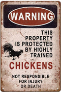 YOYI ART Metal Warning Chicken Signs for Coop Funny Outdoor - Vintage Tin Sign for Chicken Coop, Outdoor, Kitchen, Farmhouse Wall Decor Art Accessories, Chicken Gifts for Women, 8 x 12 inch