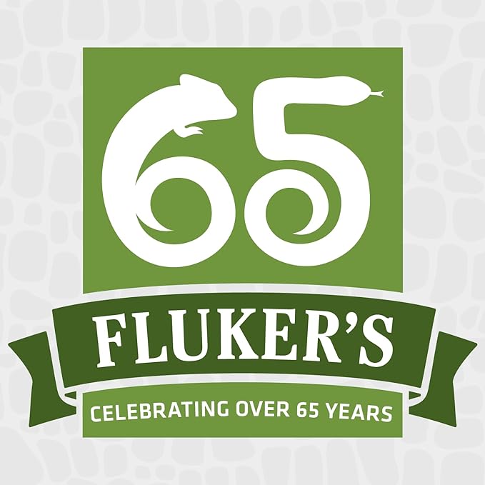 Fluker's Clamp Lamp, Heavy Duty, 75-Watt Maximum | On/Off Switch | 5.5" Diameter | Pack of 2 | UL/CUL Approved