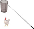 Windyun Chicken Catcher Poultry Catch Net with Stainless Steel Telescopic Pole for Outdoor Poultry(15.75 x 17.72 Inch Net with 4.92 ft Pole)