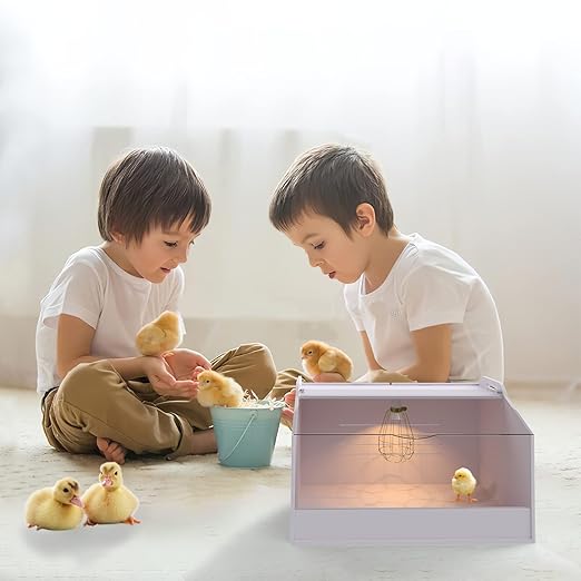 Chick Brooder Box with Heat Lamp - Suitable for Chicks, Ducks, Parrots & Lizards (19" X 12" X 12")