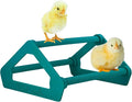 Roosting Perch for Baby Chickens, Chick Brooder Coop Training Toy Accessory, Easy Click Together Assembly, Durable Plastic, Mix and Match Colors, USA Made (Teal, 1 Pack)