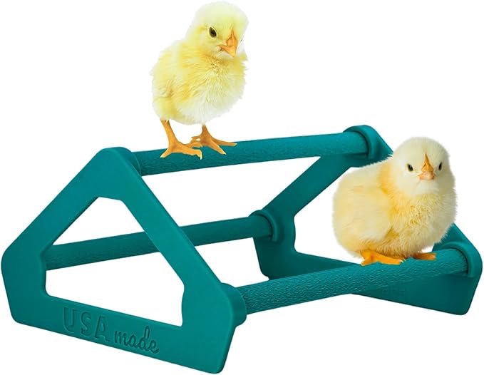 Roosting Perch for Baby Chickens, Chick Brooder Coop Training Toy Accessory, Easy Click Together Assembly, Durable Plastic, Mix and Match Colors, USA Made (Teal, 1 Pack)