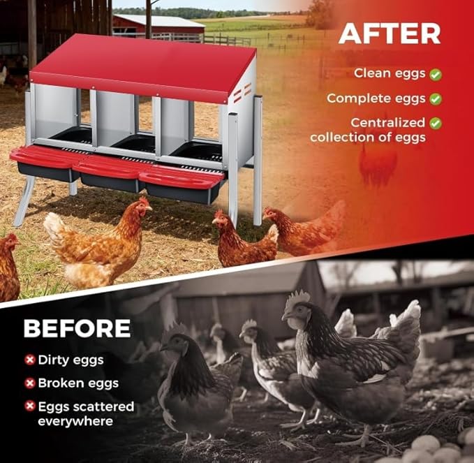 3-Hole Rollaway Chicken Nesting Box with Removable Galvanized Steel Tray & Perch - Easy-Clean Wall Mount or Freestanding Design for Hens, Ducks & Poultry, Includes Lid to Protect Eggs