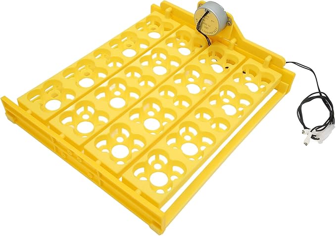 Egg Incubator Tray, Multifunction Automatic Egg Turner Incubator Tray Eggs Automatic Egg Turner Turning Tray for 16 Duck Eggs 16 Eggs 72 Quail Eggs Incubation (AC12V)