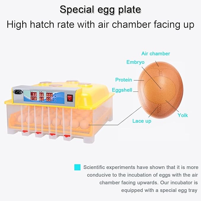 48-Egg Fully Automatic Digital Incubator - One-Touch Operation, Smart Egg Turner & Temperature Control for Chicken, Duck, Quail & Bird Eggs