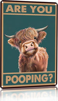 Funny Highland Cow Tin Sign, Vintage Tin painting"Are You Pooping?"Bathroom Humorous Toilet Wall Decor for Rustic Farmhouse & Western Theme Highland Cow Lovers, 8x12 Inch