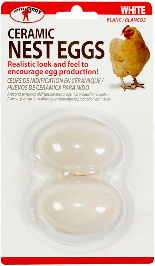 Little Giant® Large Egg Basket Kit | Chicken Egg Basket with Ceramic Eggs | Egg Collecting Basket Kit (White Eggs, Small Basket (8 Inches))