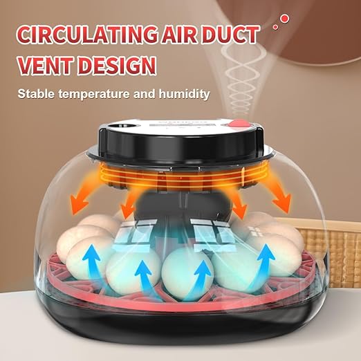 incubators for hatching eggs，12 Egg Incubator,egg incubator with automatic egg turning and humidity control，incubator for chicken eggs，chicken incubators for hatching eggs，egg incubator