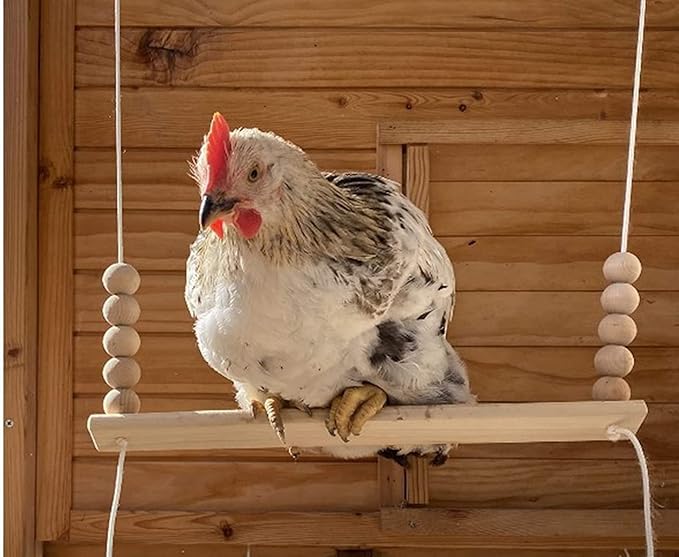 Bird Swing Wooden Hanging Chicken Swing Stand Suspension Bridge Budgie Climb Chew Toys Roosting Bar Coop Brooder Entertainment Toys Birdcage Accessories