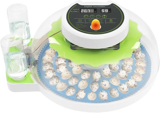 60 Quail Egg Incubator for Hatching Eggs with Automatic Egg Turning & Humidity Temperature Control, Large Capacity Quail Brooder Poultry Incubators for Chicken, Ducks, Goose, Pigeon Parrot