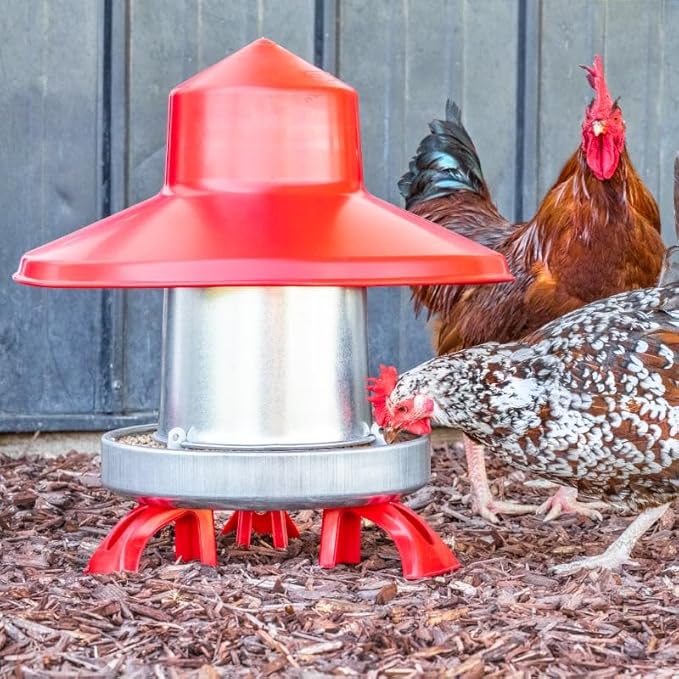 Premier 1 Galvanized Cone Feeder for Chickens & Poultry - 22 lb Capacity (Feeder Only)