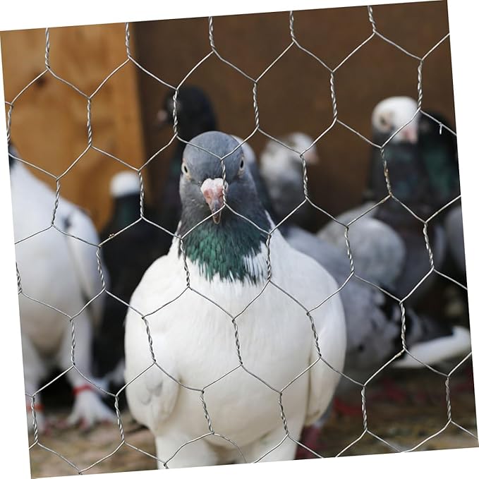 1Roll Heavy Duty Chicken Fence Netting Galvanized Wire Fencing for Poultry Rabbit Cages and Garden Protection Durable Ventilated Barrier for Optimal Animal Living