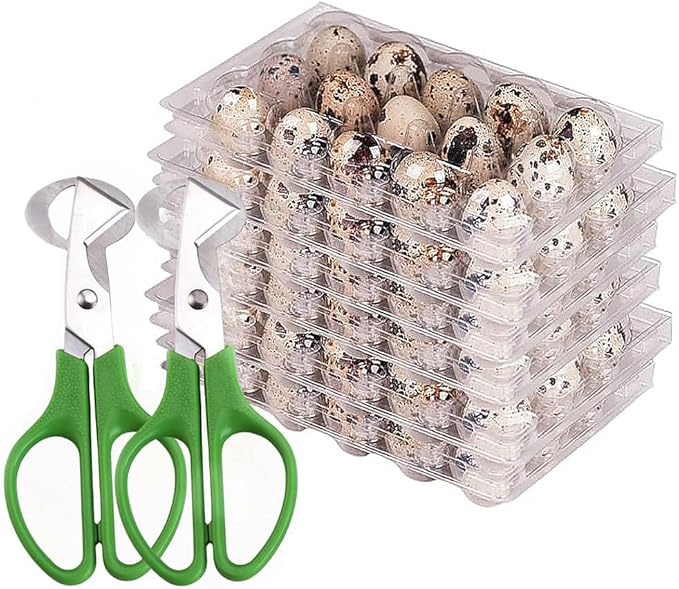 Quail Egg Cartons,15 Grids Small Egg Storage Holders,Quail Eggs Bulk Carton Trays & 2PCS Stainless Steel Cutter