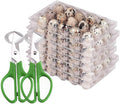 Quail Egg Cartons,15 Grids Small Egg Storage Holders,Quail Eggs Bulk Carton Trays & 2PCS Stainless Steel Cutter