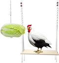 Chicken Swing Toy and Hanging Feeder with Chain and Hook for Large Chicken Coop, Accessories and Decor for Hens and Roosters, Ideal Gifts for Chicken Lovers and Oweners