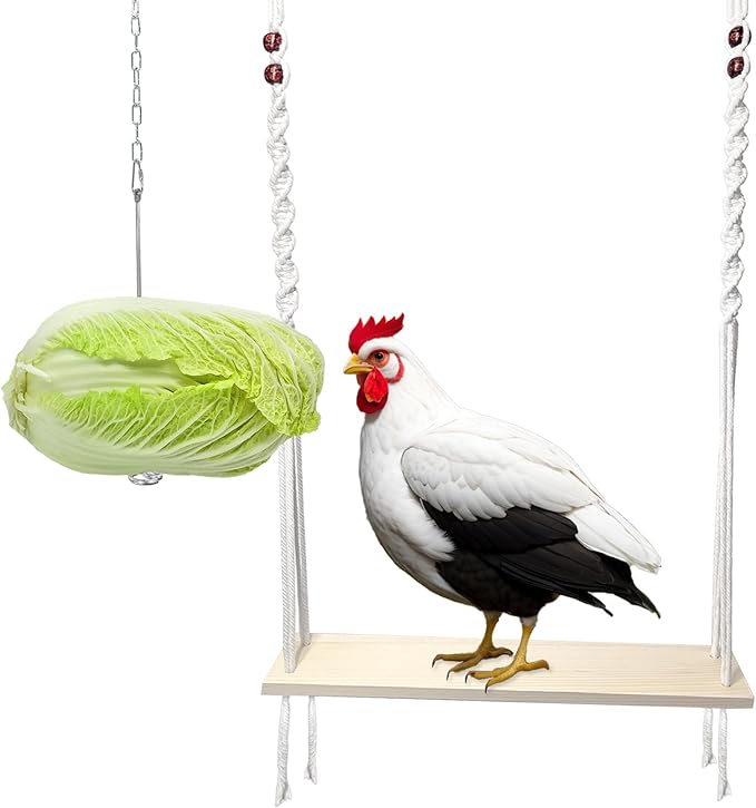 Chicken Swing Toy and Hanging Feeder with Chain and Hook for Large Chicken Coop, Accessories and Decor for Hens and Roosters, Ideal Gifts for Chicken Lovers and Oweners