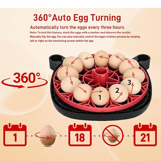 Automatic Egg Incubator for 12 Chicken Eggs with Camera APP Control, Temperature & Humidity Monitor, Auto Egg Turner, Record Life's Birth Moments for Chicken Duck Quail Pigeons