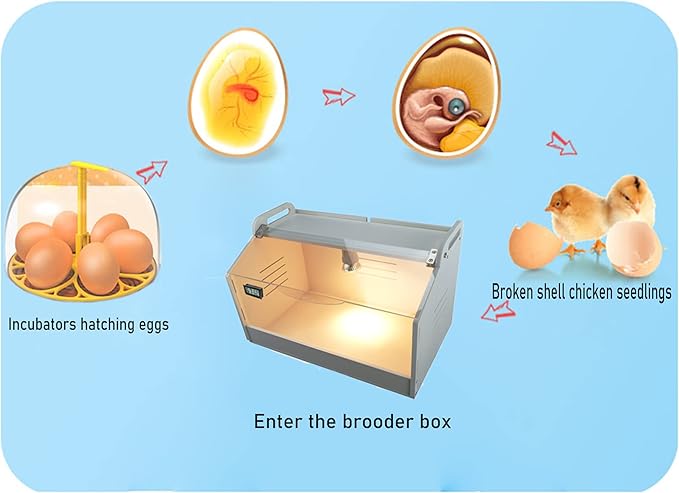 Intelligent Brooder Box Chicken brooder Quail cage for Newborns Chicks Ducks Birds Small Animals Manual Egg Incubators Poultry Heater